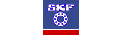 SKF Argentina SA / Cultural integration for foreigners in Buenos Aires