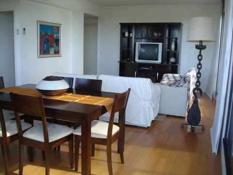 Apartment: 125m<sup>2</sup> in Puerto Madero, Buenos Aires