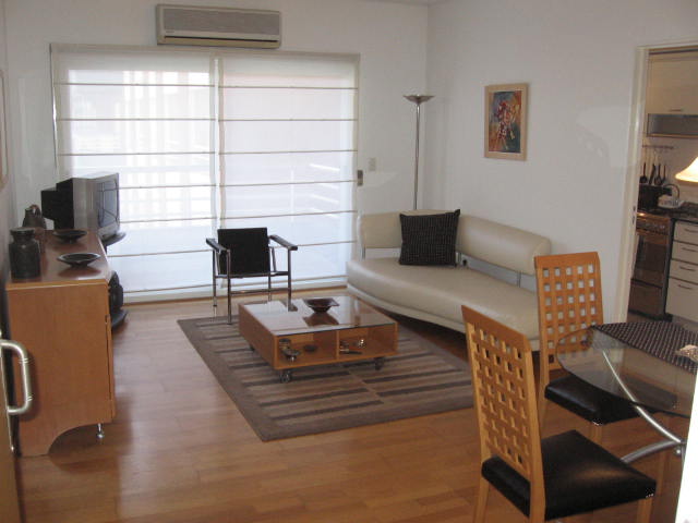 Apartment: 53m<sup>2</sup> in Puerto Madero, Buenos Aires